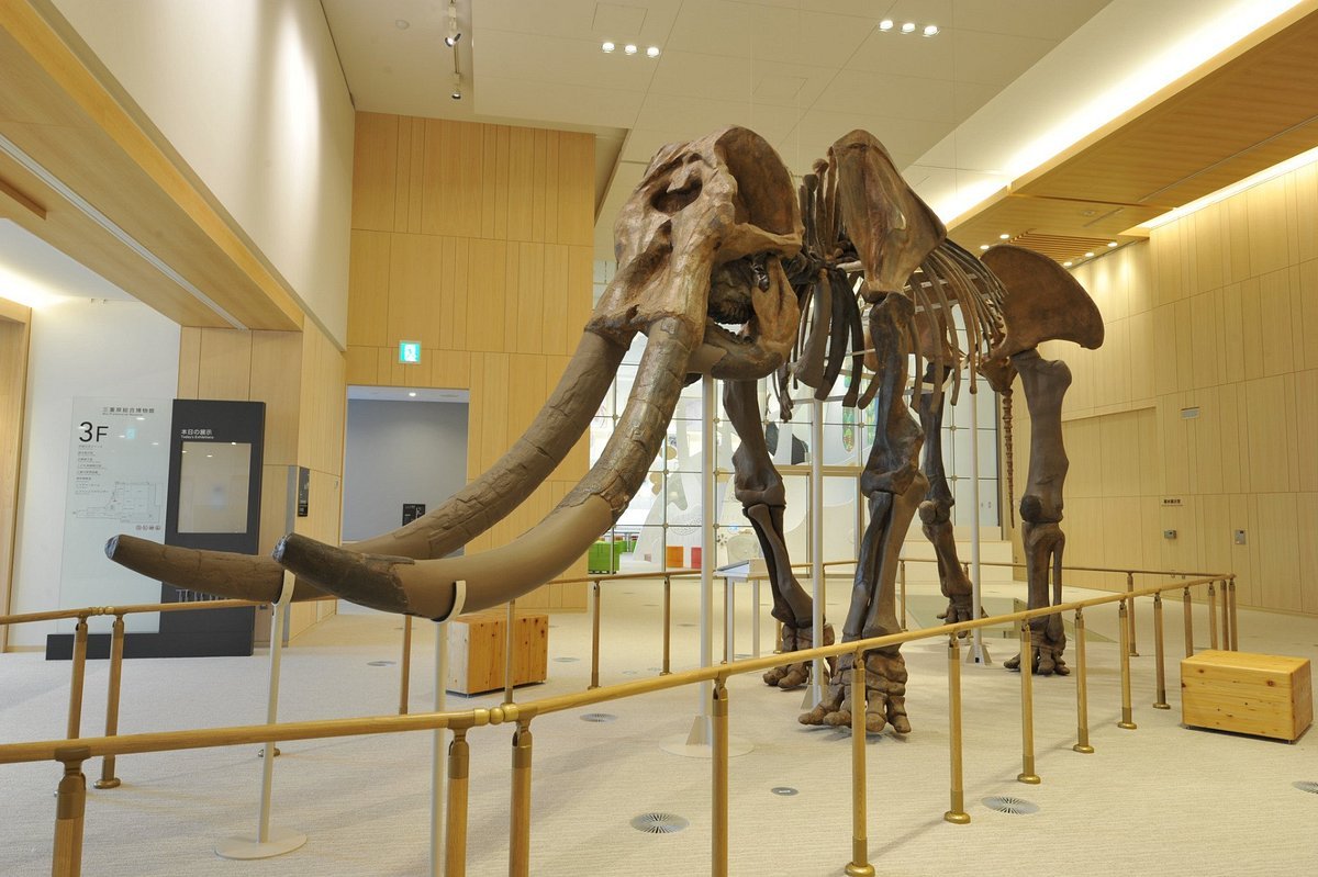 🖼️ 미에 현립 미술관(미에켄리츠비주츠칸) 이미지 4